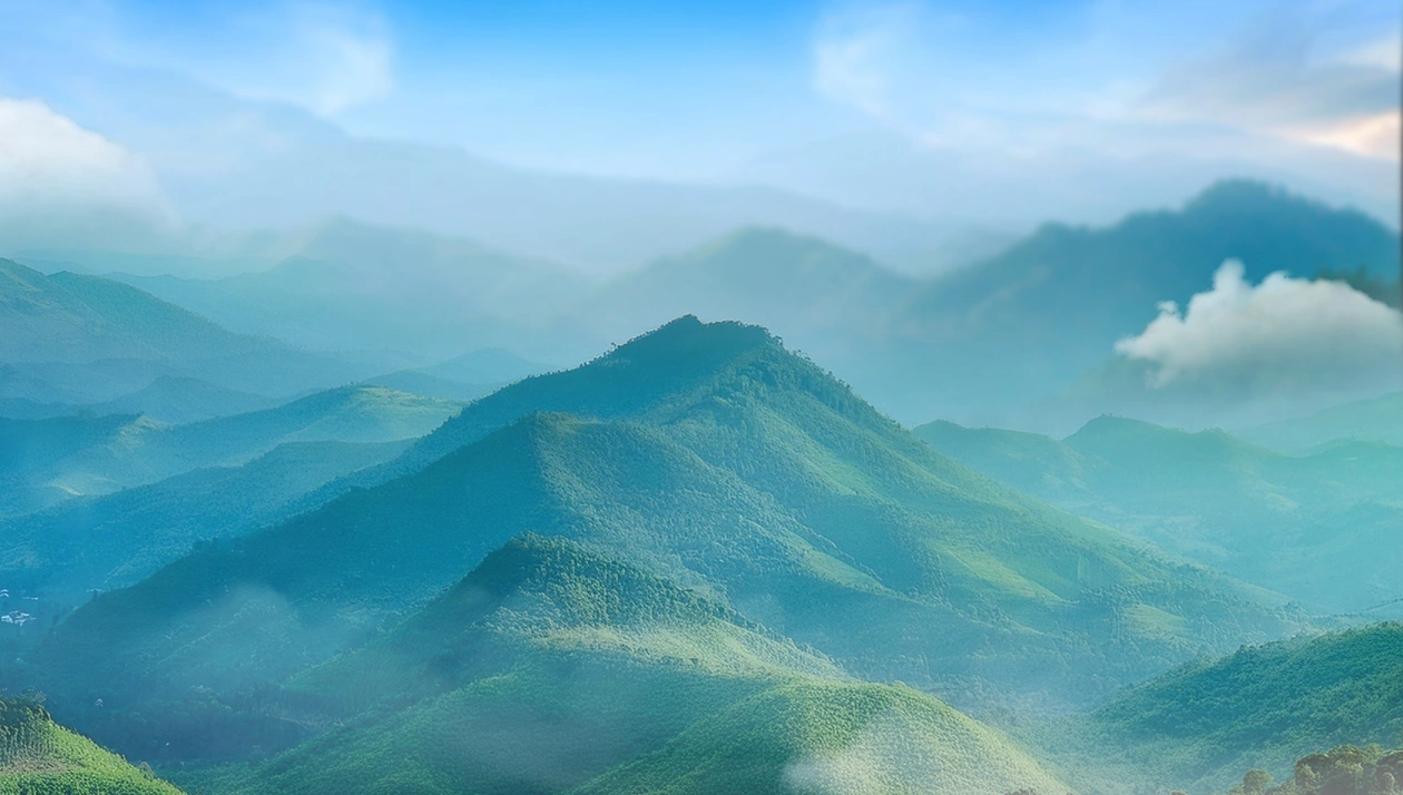 <span class="leminerale-text w-[162px]"></span>